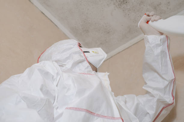 Best Affordable Mold Removal  in Byers, CO