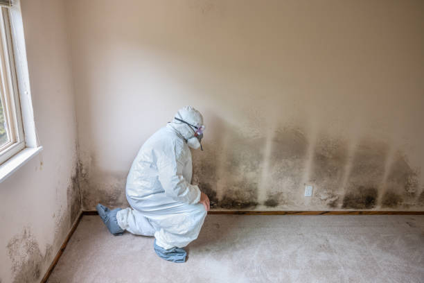 Best Crawl Space Mold Removal  in Byers, CO